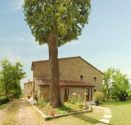 Agriturismo Il Piano Villa Pratovecchio Luaran gambar