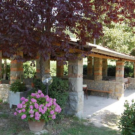 Agriturismo Il Piano Villa Pratovecchio Luaran gambar