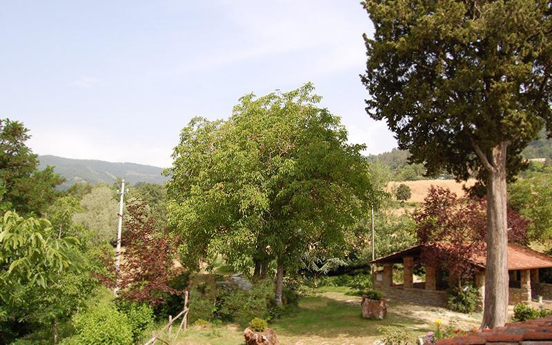Agriturismo Il Piano Villa Pratovecchio Luaran gambar